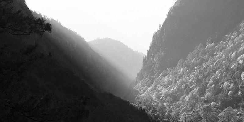 国际物流68：海运、清关与全球供应链高效协同的实战解析