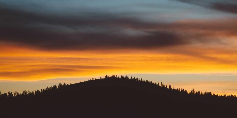 国际物流入门：解析物流服务与供应链管理，以捷球物流为例