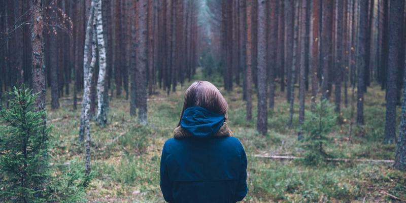 国际物流完全指南：掌握清关、空运与货运代理的核心要点