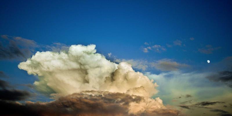 国际物流数字化转型：如何利用大数据与AI优化海运与清关流程