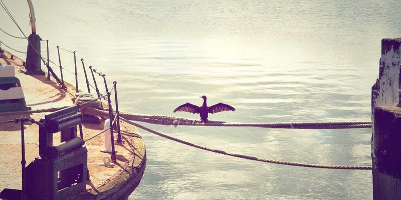 国际物流是什么？解析海运等核心服务与全球供应链的关键作用