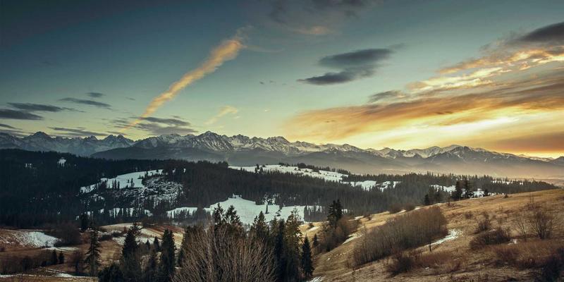 国际物流深度解析：海运、供应链与物流服务的关键选择