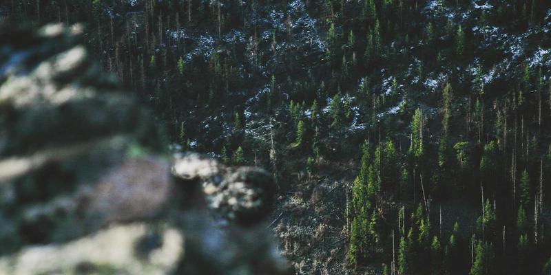 国际物流清关全解析：供应链效率如何通过专业物流服务提升——以捷球物流为例