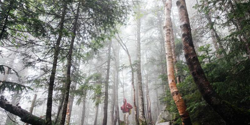 地缘政治波动下的国际物流韧性：海运替代路线规划与货运代理应急预案