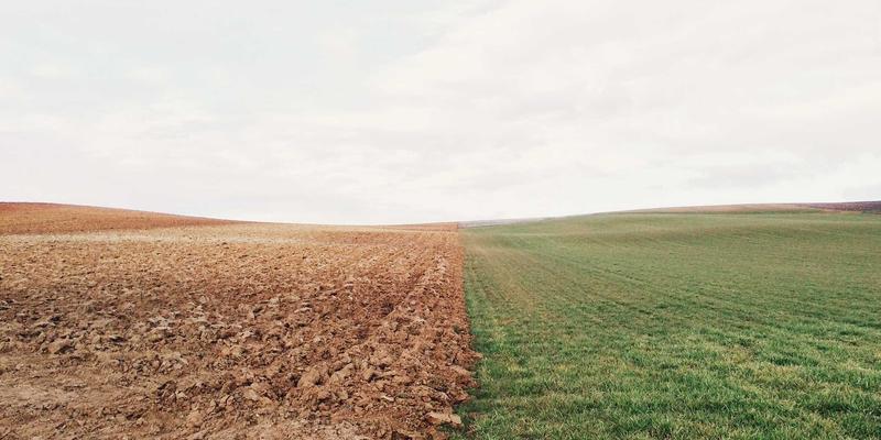 构建弹性国际供应链：基于“中国+1”战略的多元化物流网络布局