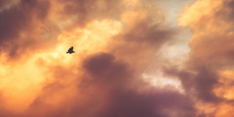 海运物流服务如何选？掌握清关与KPI评估，规避国际供应链风险