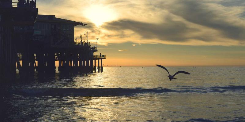 跨越文化鸿沟：国际物流与供应链中如何与海外伙伴高效协作