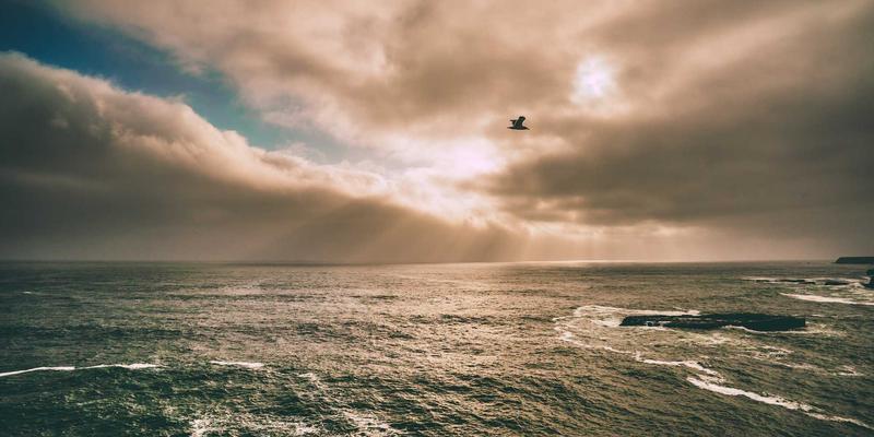 跨越文化鸿沟：国际物流服务中的清关与海运沟通艺术